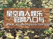 种植基地八(图1)