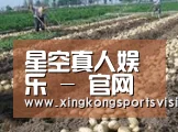 种植基地八
