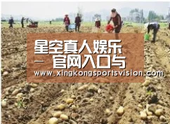 种植基地一