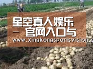 种植基地七(图1)