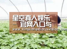 种植基地三