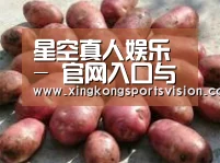 产品展示标题5