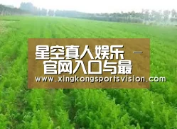 种植基地四