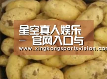 产品展示标题6