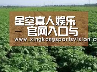 种植基地五(图1)
