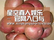 产品展示标题1