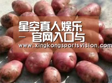 产品展示标题5(图1)