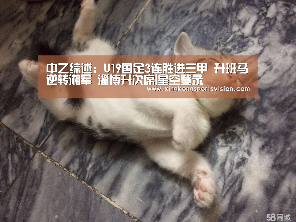 星空官网