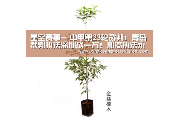 星空登录