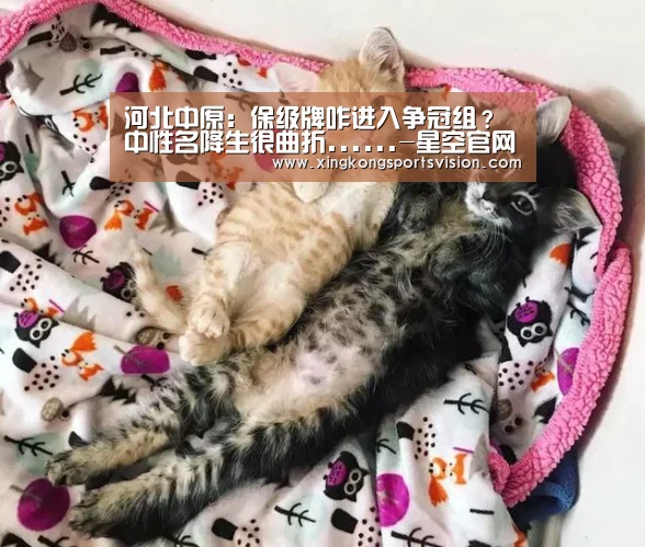 星空电竞