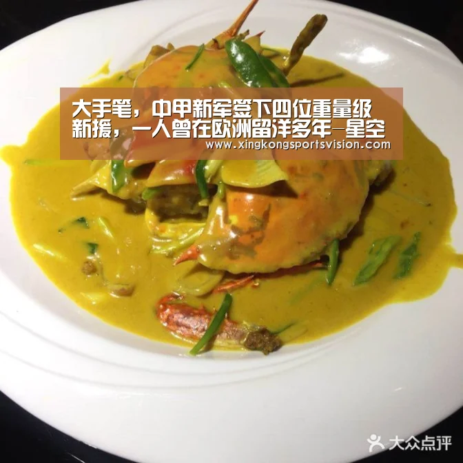 星空登录