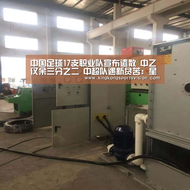 中国足球17支职业队宣布遣散 中乙仅余三分之二 中超队遇新贫苦:星空官网(图4) 星空登录