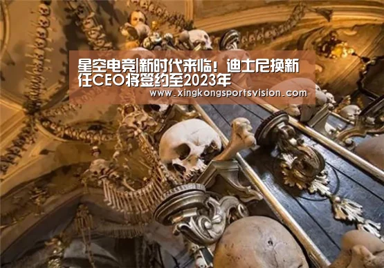 星空电竞|新时代来临!迪士尼换新任CEO将签约至2023年(图1) 星空电竞