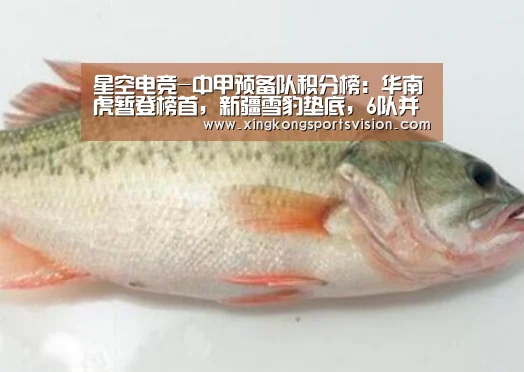 星空电竞-中甲预备队积分榜:华南虎暂登榜首,新疆雪豹垫底,6队并列第5名(图3) 星空官网